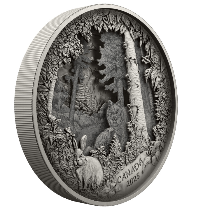 Canada: Predator or Prey in Shadow Box $175 Srebro 2025 Antique Finish