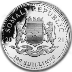 African Wildlife: Leopard 1 uncja Srebra 2021