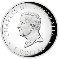 Australijski Kangur kolorowany 1 uncja Srebra 2025 Proof High Relief