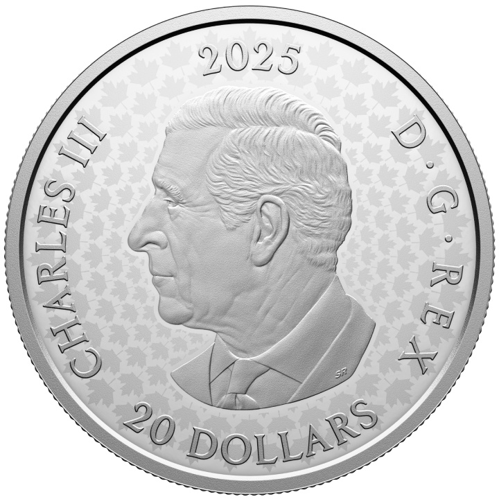 Canada: Commemorating Black History - Hogan's Alley $20 Srebro 2025 Proof