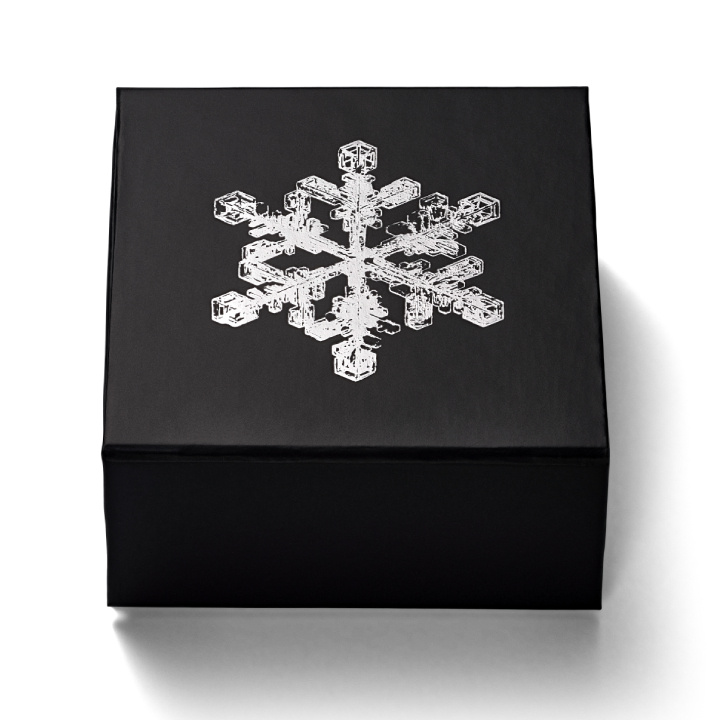 Canada: Snowflake $20 Srebro 2024 Reverse Proof