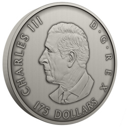 Canada: Predator or Prey in Shadow Box $175 Srebro 2025 Antique Finish