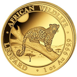African Wildlife: Leopard 1 uncja Złota 2021