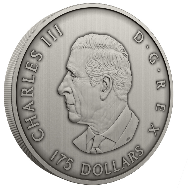 Canada: Predator or Prey in Shadow Box $175 Srebro 2025 Antique Finish