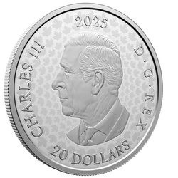 Canada: Commemorating Black History - Hogan's Alley $20 Srebro 2025 Proof 