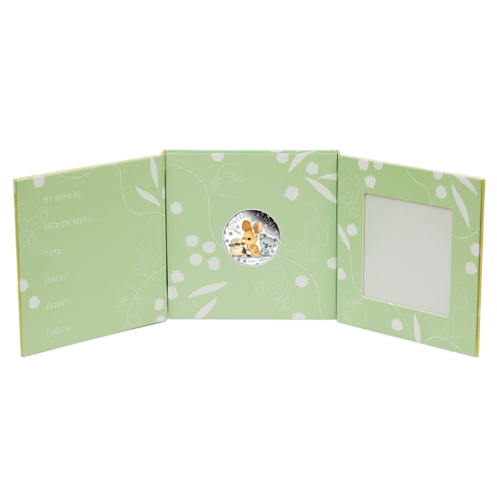 Newborn kolorowany 1/2 uncji Srebra 2026 Proof