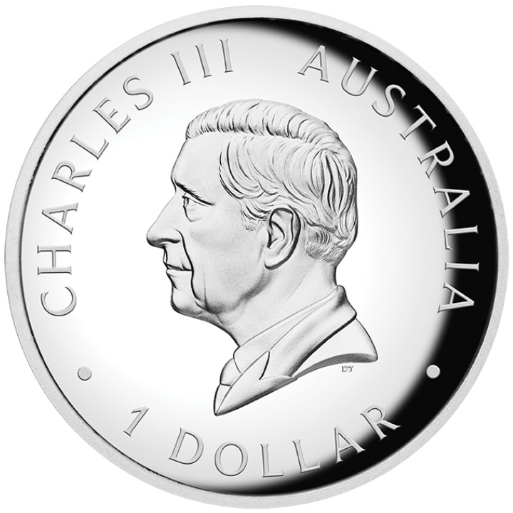 Australijski Kangur kolorowany 1 uncja Srebra 2025 Proof High Relief