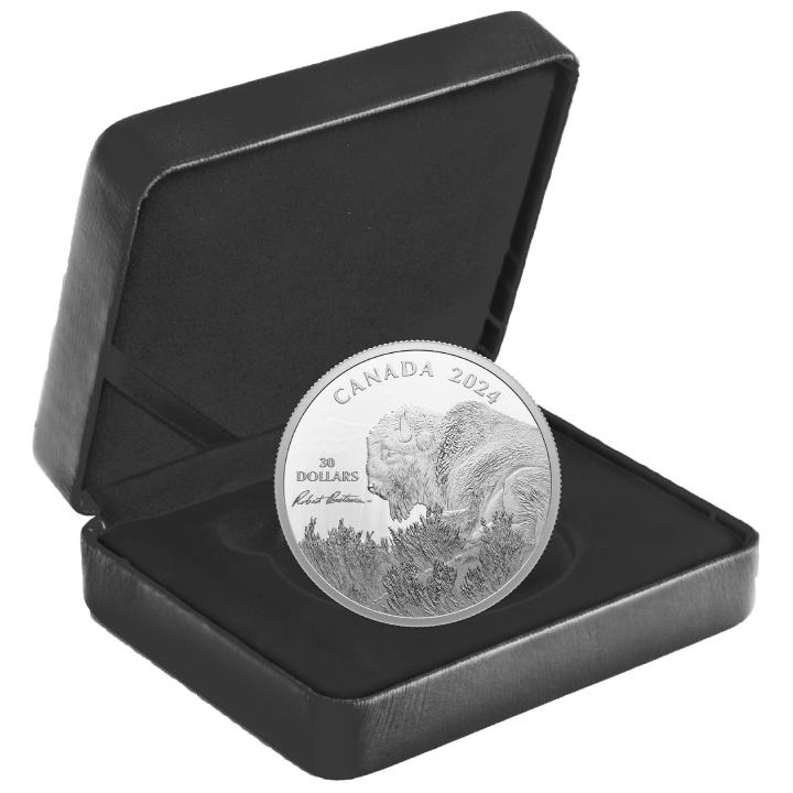 Canada: Weather Watch - Bison $30 Srebro 2024 Proof