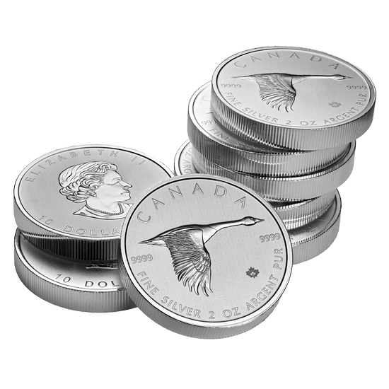 Gęś 2 uncje Srebra 2020