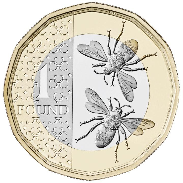 Zestaw 13 monet Miedzionikiel Wielka Brytania 2024