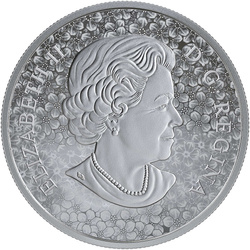 Kanada: Forget-Me-Not 1 uncja Srebra 2019 Proof