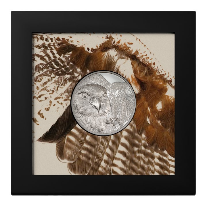 Mongolia: Mongolian Falcon 1 uncja Srebra 2023 Proof Ultra High Relief