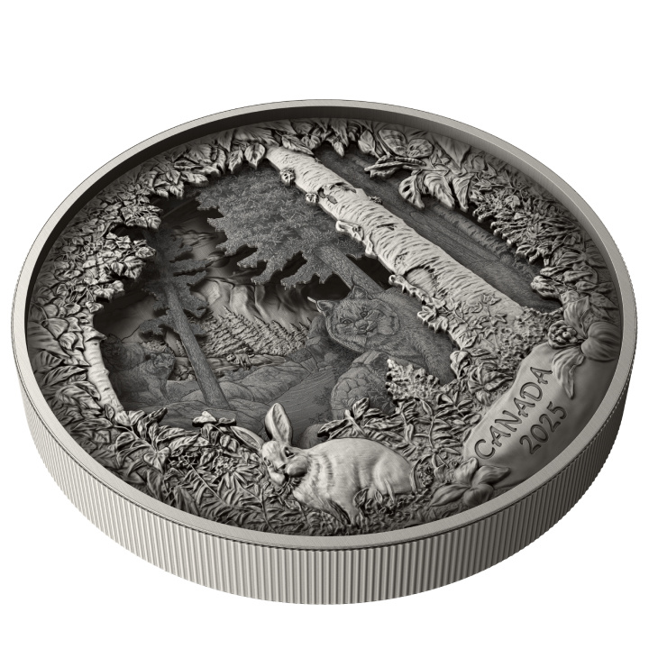 Canada: Predator or Prey in Shadow Box $175 Srebro 2025 Antique Finish