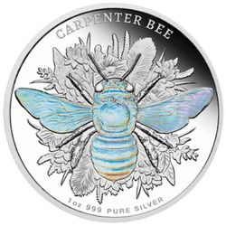Niue: Australian Native Bees - Stingless Bee 1 uncja Srebra 2026 Proof Hologram
