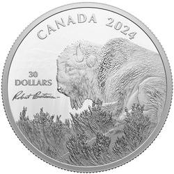 Canada: Weather Watch - Bison $30 Srebro 2024 Proof