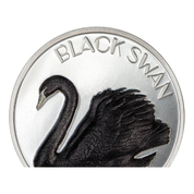  Cook Islands: Black Swan 2 uncje Srebra 2023 Black Proof Ultra High Relief 