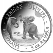 African Wildlife: Słoń Somalijski 5 uncji Srebra 2024