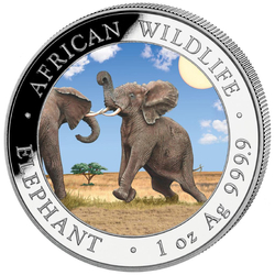 African Wildlife: Słoń Somalijski "Day" kolorowany 1 uncja Srebra 2024