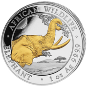 African Wildlife: Słoń Somalijski pozłacany 1 uncja Srebra 2023