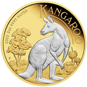 Australijski Kangur pozłacany 2 uncje Srebra 2023
