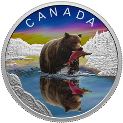 Canada: Wildlife Reflections - Grizzly Bear kolorowany $20 Srebro 2024 Proof 