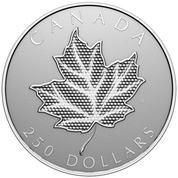 Kanadyjski Liść Klonowy $250 Srebro 2024 Reverse Proof
