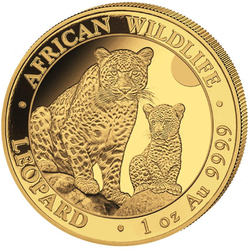 Somalia: African Wildlife - Leopard 1 uncja Złota 2024