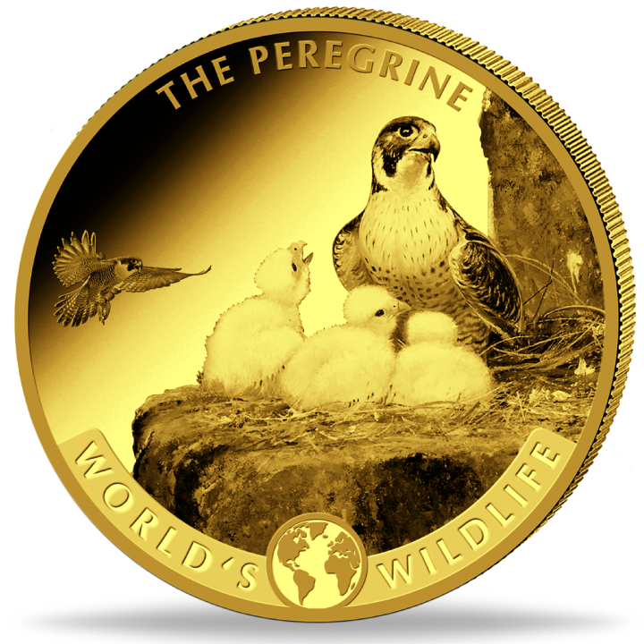 Zestaw 4 monet Congo: World‘s Wildlife - Peregrine Falcon Złoto 2024 Proof
