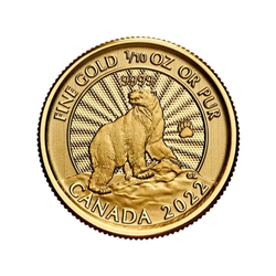 Canada: The Majestic Polar Bear 1/10 uncji Złota 2022 