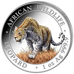 Somalia: African Wildlife - Leopard kolorowany 1 uncja Srebra 2023