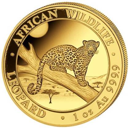 African Wildlife: Leopard 1 uncja Złota 2021