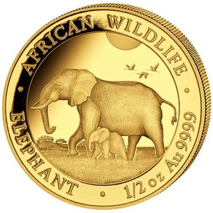 African Wildlife: Słoń Somalijski 1/2 uncji Złota 2022