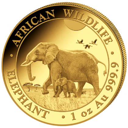 African Wildlife: Słoń Somalijski 1 uncja Złota 2022