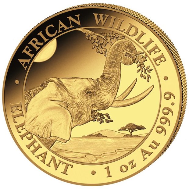 African Wildlife: Słoń Somalijski 1 uncja Złota 2023