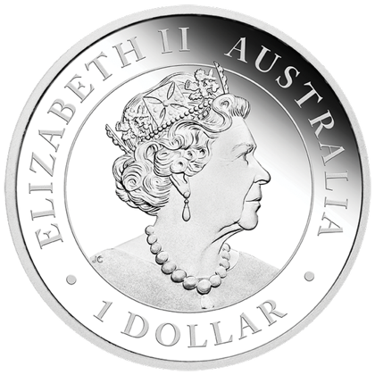Australijski Emu zestaw - Srebrna moneta Proof 1 uncja 2018, 2019 i 2020