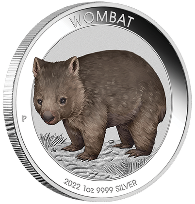 Australijski Wombat kolorowany 1 uncja Srebra 2022
