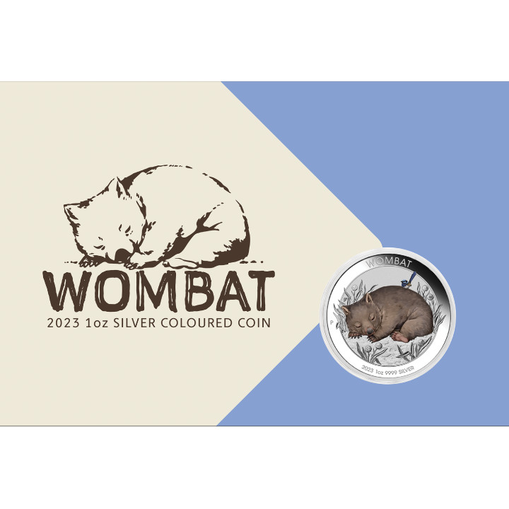 Australijski Wombat kolorowany 1 uncja Srebra 2023