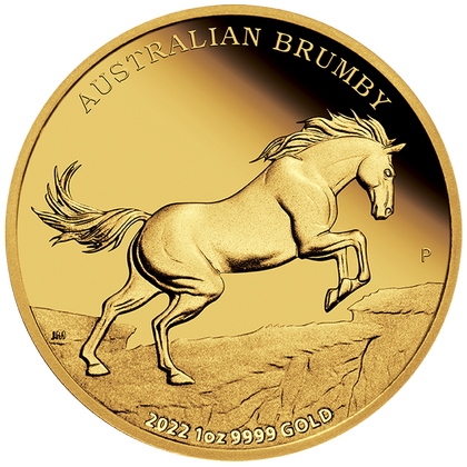 Australijski dziki koń - Brumby 1 uncja Złota 2022 Proof