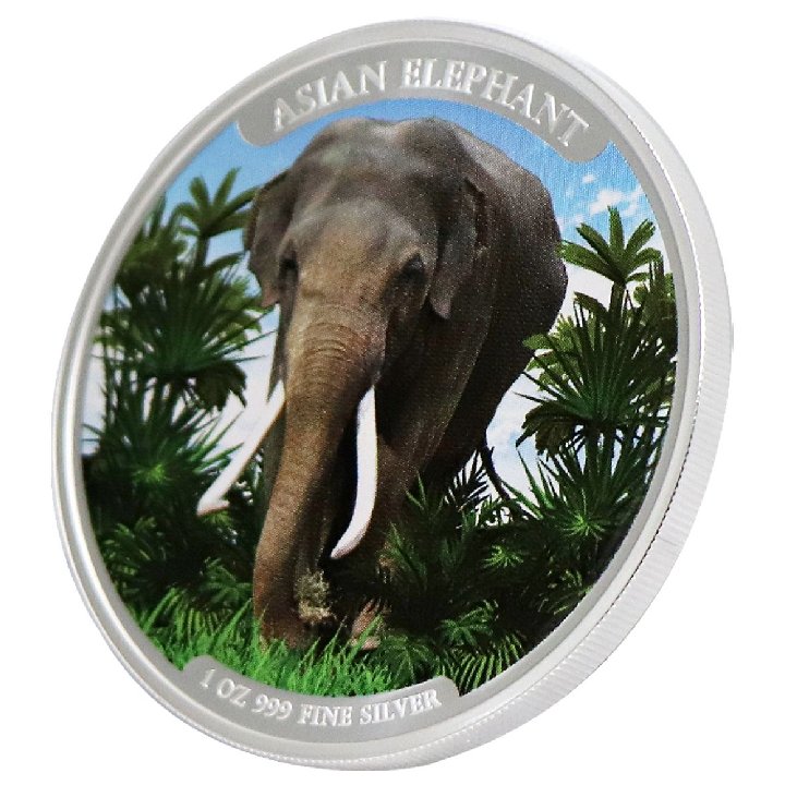 Cambodia: Asian Elephant kolorowany 1 uncja Srebra 2023