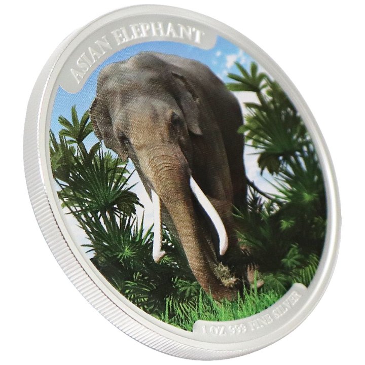 Cambodia: Asian Elephant kolorowany 1 uncja Srebra 2023