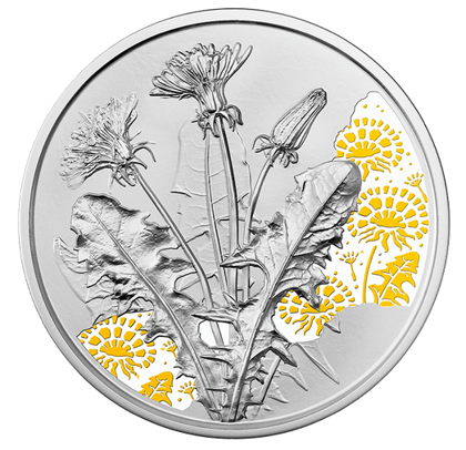 The Dandelion kolorowany 10 Euro Srebro 2022 Proof