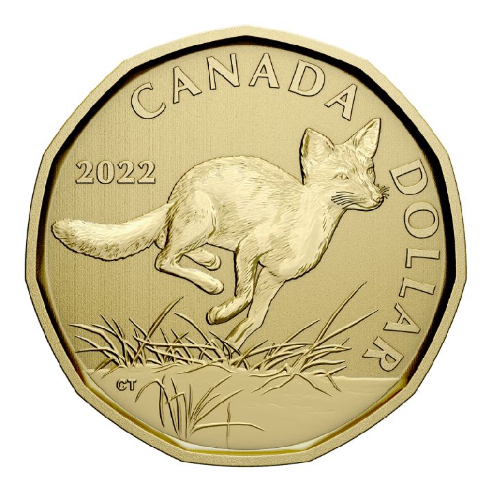 Zestaw Canada: Swift Fox 6 monet 2022 Specimem