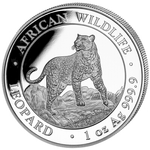 African Wildlife: Leopard 1 uncja Srebra 2022