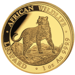 African Wildlife: Leopard 1 uncja Złota 2022