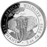 African Wildlife: Słoń Somalijski 5 uncji Srebra 2021