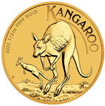 Australijski Kangur 1/2 uncji Złota 2022