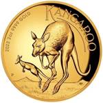 Australijski Kangur 2 uncje Złota 2022 Proof High Relief
