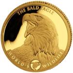 Bielik Amerykański (The Bald Eagle) 0,5 grama Złota 2021