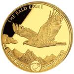 Bielik Amerykański (The Bald Eagle) 1 uncja Złota 2021
