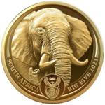 Big Five II: Elephant 1/4 uncji Złota 2021 Proof
